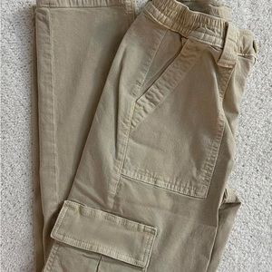 American Eagle Stretch Cargos